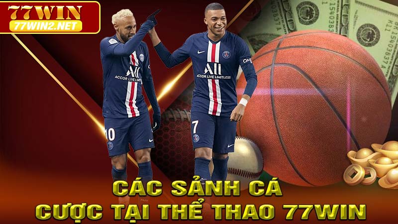 Các sảnh cá cược tại Thể thao 77Win