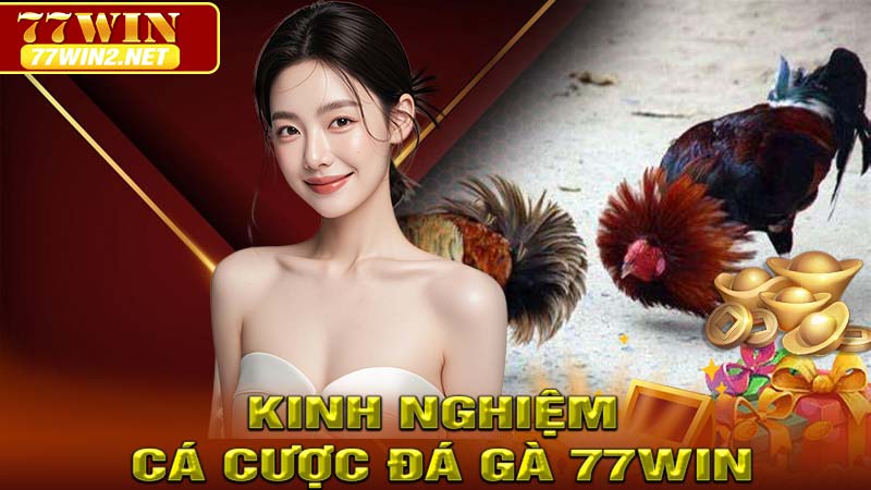 Kinh nghiệm cá cược Đá gà 77win